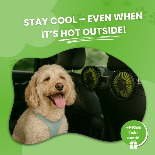 FreshDoggy | Car Gadget Winner 2026