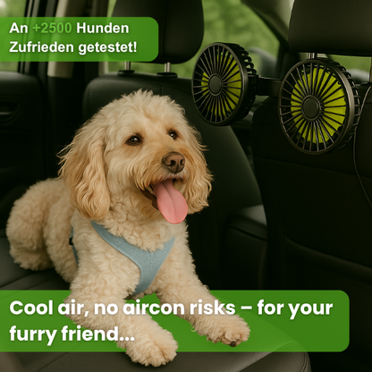 FreshDoggy | Car Gadget Winner 2026