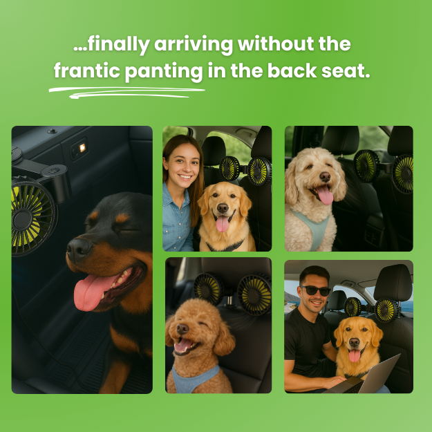 FreshDoggy | Car Gadget Winner 2026