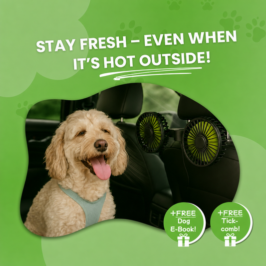 FreshDoggy | Travel Gadget Winner 2026